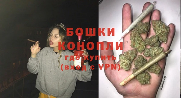 Альфа ПВП Бородино