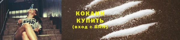 Альфа ПВП Бородино