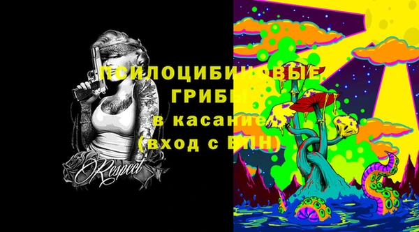 spice Бугульма